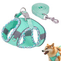 Qpets Dog Harness and Leash for Small Dogs with 4.9ft Leash featuring Dual D-Rings | Breathable Fabric image