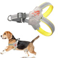 Qpets Dog Harness for Outdoor Walks with Double D Rings and Reflective Strip XL image