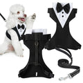 Qpets Dog Harness Set for Weddings with 1.5m Leash and 360° Swivel image