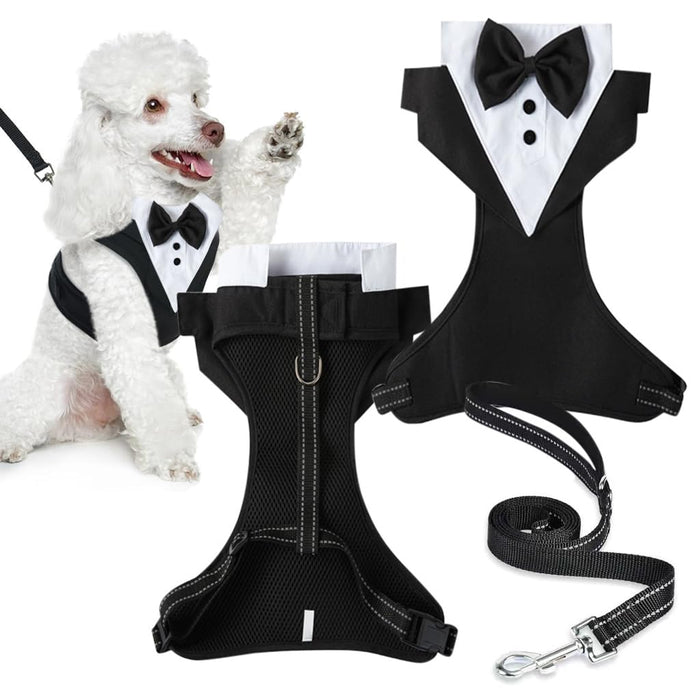 Qpets Dog Harness Set for Weddings with 1.5m Leash and 360° Swivel image