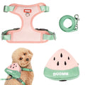 Qpets Dog Harness Vest for Small Breeds with 4 Way Adjustable Fit and Zipper Pouch | Breathable Mesh Comfort (S) image