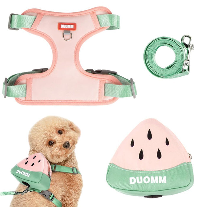Qpets Dog Harness Vest for Small Breeds with 4 Way Adjustable Fit and Zipper Pouch | Breathable Mesh Comfort (S) image