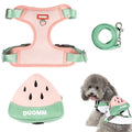 Qpets Dog Harness Vest for Small Breeds with 4 Way Adjustable Straps and Zipper Pouch | Breathable Mesh Comfort image