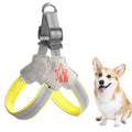 Qpets Large Dog Harness for Outdoor Walks with Dual D-Rings and 3M Reflective Nylon | Size L image