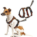 Qpets No Pull Dog Harness with 59 inch Retractable Leash image