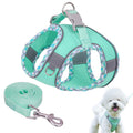 Qpets Small Dog Harness with 4.9 ft Leash featuring Dual D Rings and Breathable Mesh Vest image