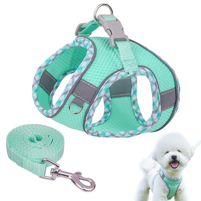Qpets Small Dog Harness with 4.9 ft Leash featuring Dual D Rings and Breathable Mesh Vest image