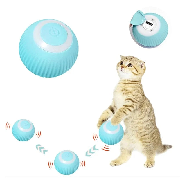 Qpets Smart Cat Toy Ball for Indoor Play with 360° Auto Rotation & LED Lights | USB-C Rechargeable 43mm ABS Silicone