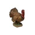 Raz | Mr. Tom Turkey