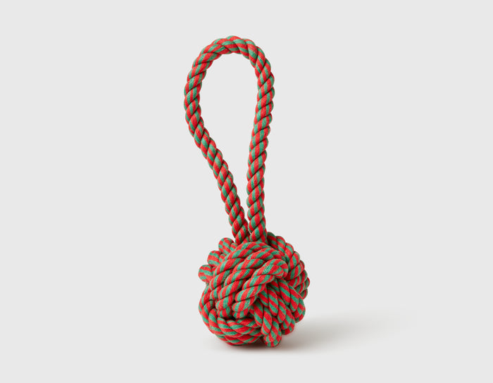 Red Multi Color Knot 6" Rope Dog Toy