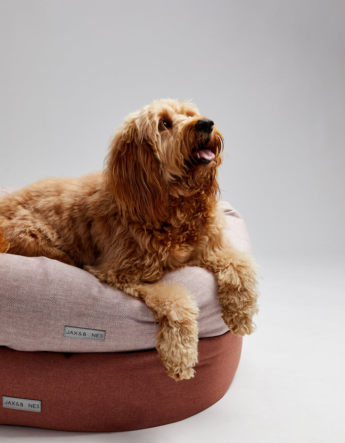 Rosebud Donut Bed