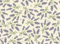 imae of Rossi 1931 Italian Decorative Paper- Lavender Sprigs
