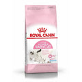 Royal Canin Mother & Babycat Dry Food