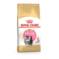 Royal Canin Persian Kitten Dry Food For Cat