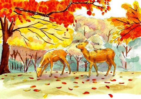 Sai Watercolor Brush Pens- Winter Color Set of 5 (set D)