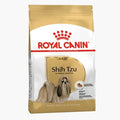 Shih Tzu Adult