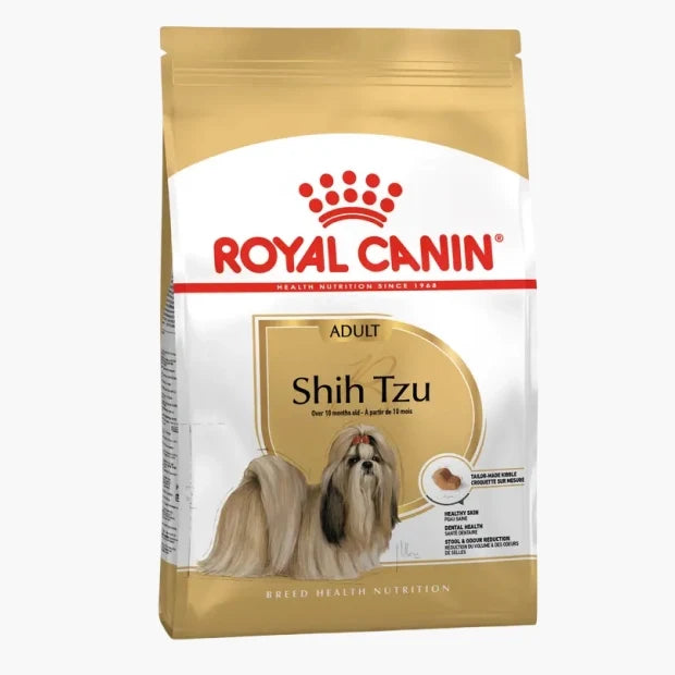Shih Tzu Adult