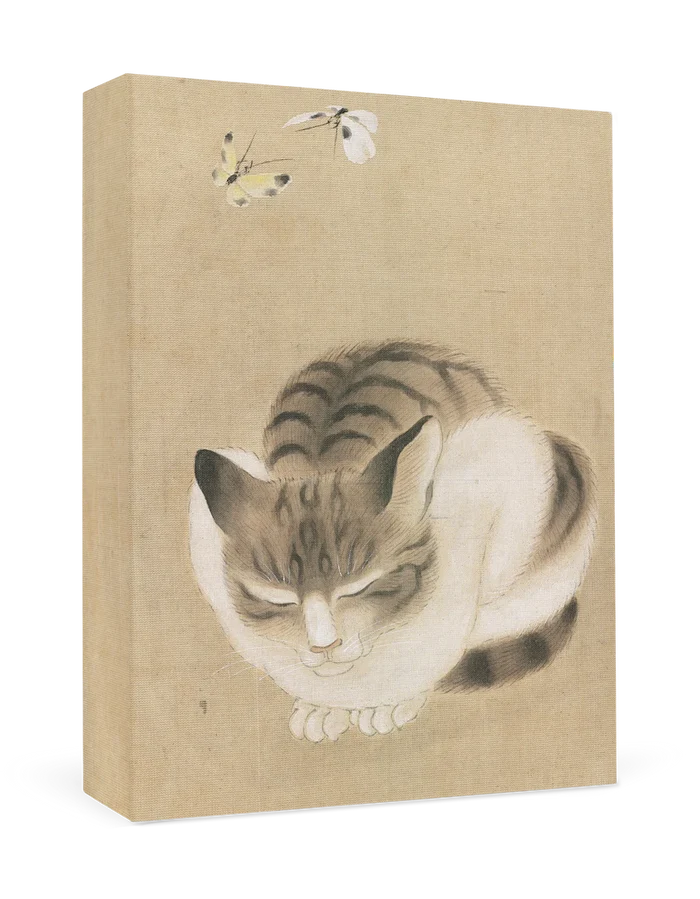 Pomegranate Sleeping Cat and Butterflies Small Boxed Cards