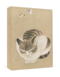 Pomegranate Sleeping Cat and Butterflies Small Boxed Cards