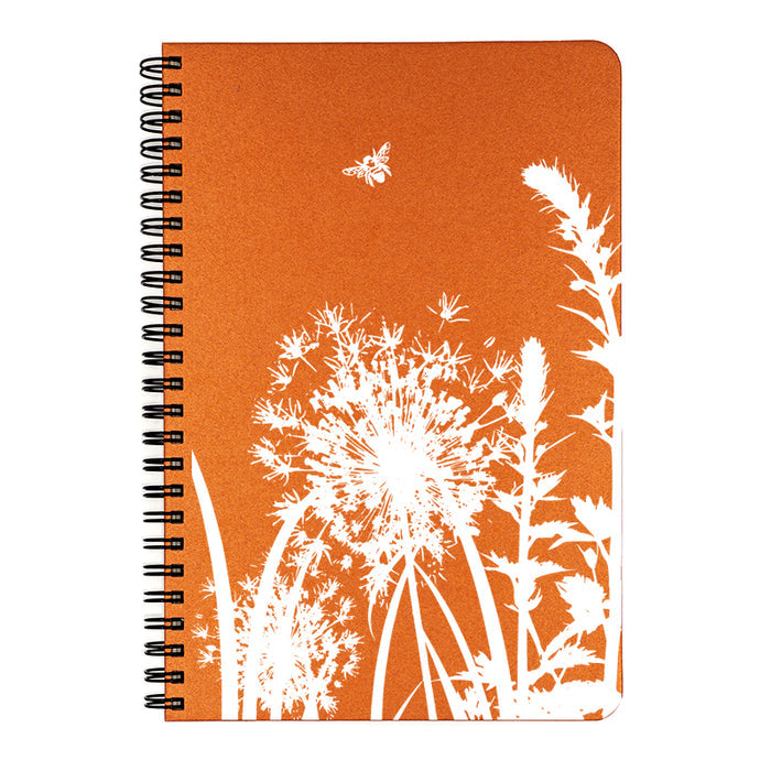 Inspired by photographs from my garden the Allium & Honey Bee long for the warmth of summer.