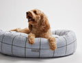 Social Club Sky Donut Bed