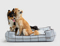 Social Club Sky Lounge Dog Bed