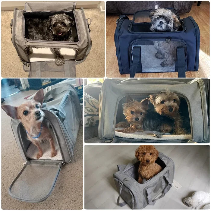 Soft Side Pet Carrier Backpack | Airline Approved Travel Bag for Small Dogs and Cats