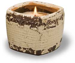 Swan Creek Candle Co. | Sparkling Apple Cider, Assorted Sizes