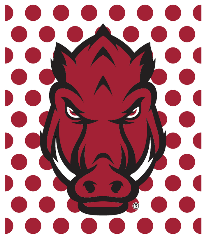 University of Arkansas Polka Dot