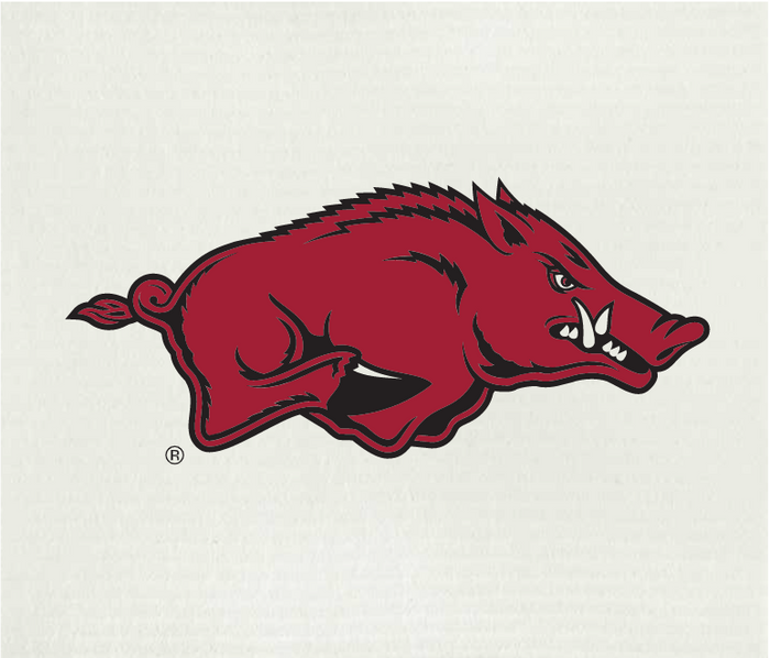 University of Arkansas Razorback