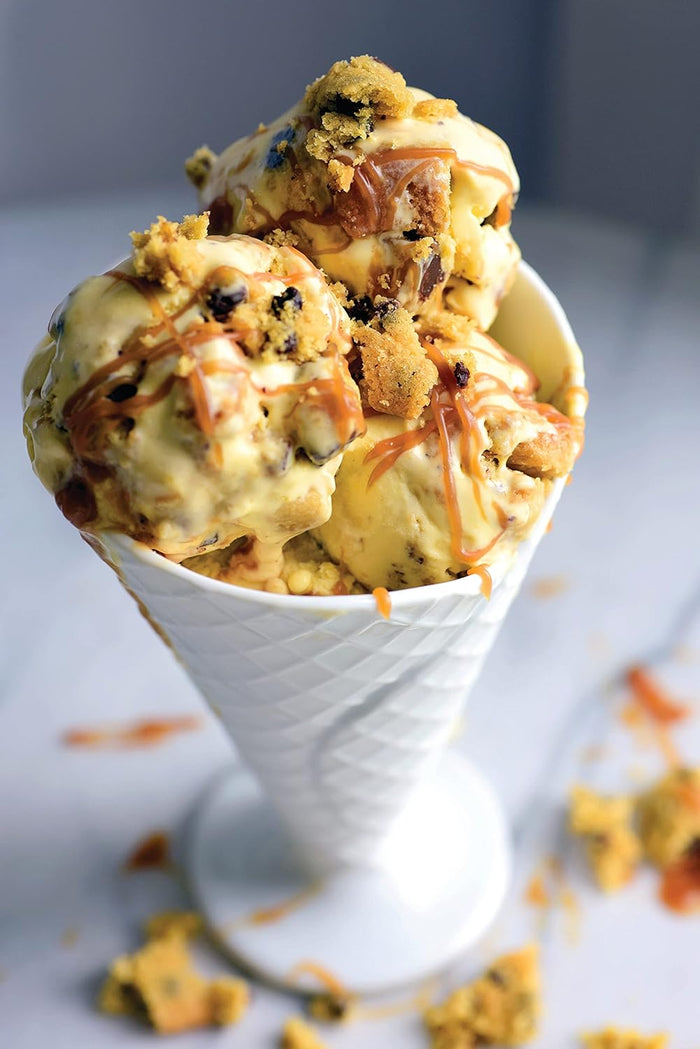 The Chocolate Chip Cookie Cookbook