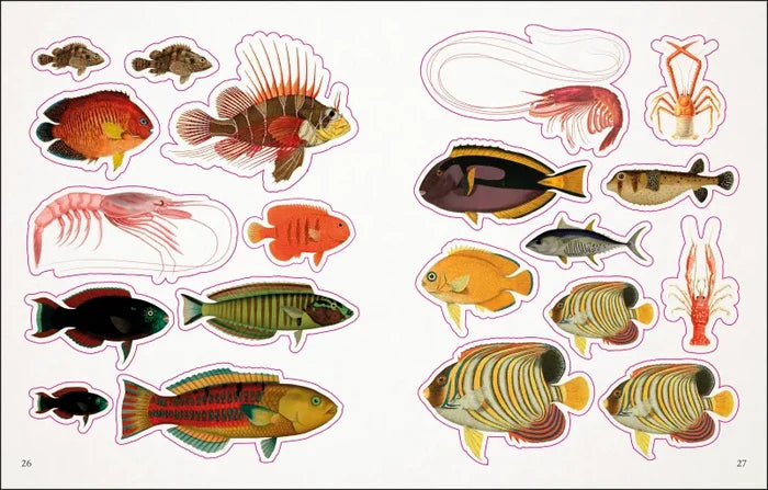 Page after page of this book is packed with vintage drawings of coral, fish, and shells that portray the beauty of the ocean