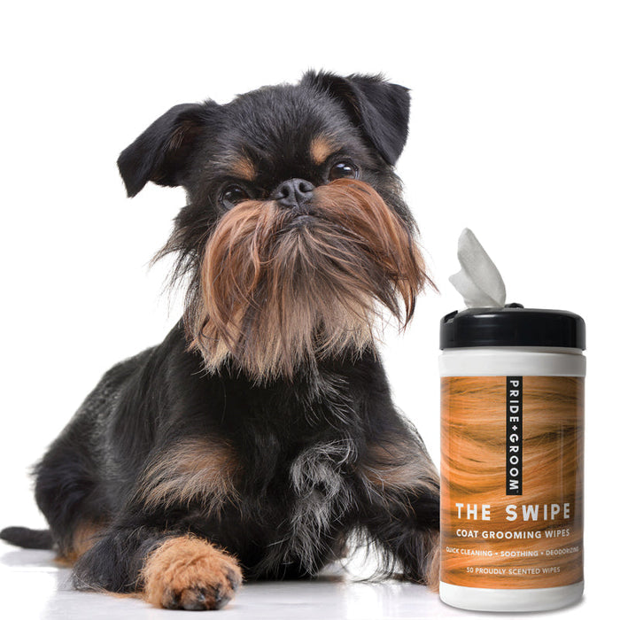 THE SWIPE Wet Pet Wipes — Alcohol-Free, Hypoallergenic Cleansing Wipes for Dogs & Cats