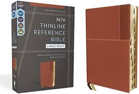 Thinline Reference Bible NIV