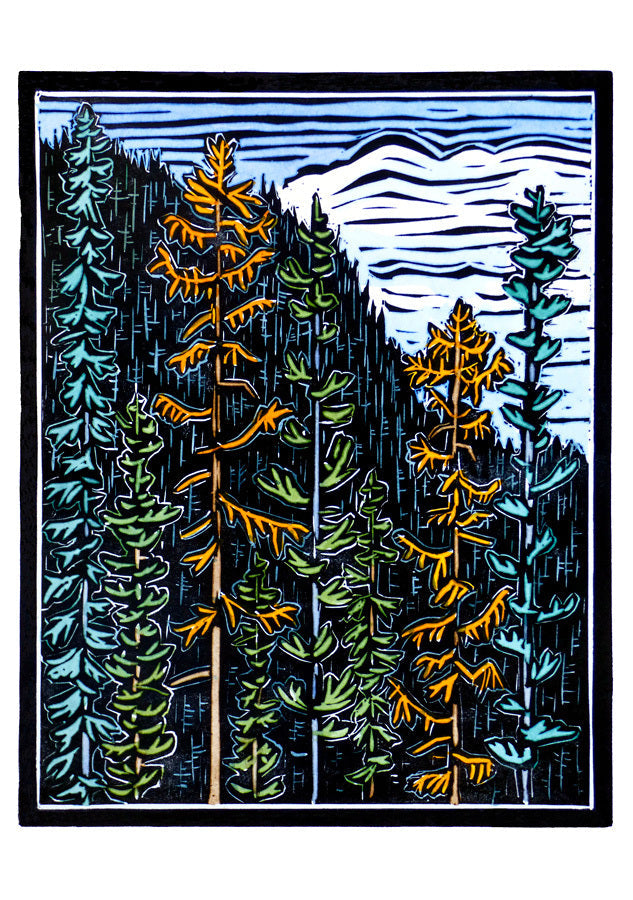 Trees Boxed Notecard Assortment by Molly Hashimoto