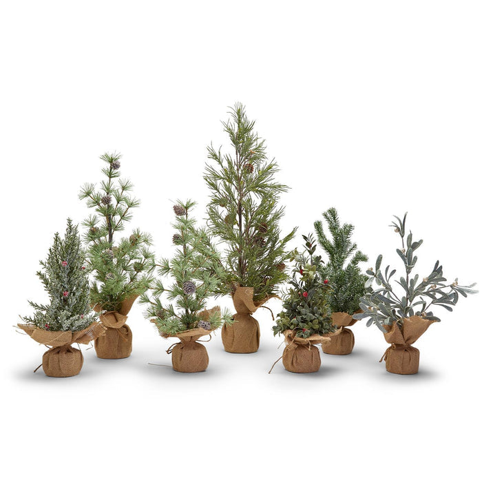 Two's Company | Frosted Evergreen Tree, Assorted Styles & Sizes
