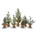 Two's Company | Frosted Evergreen Tree, Assorted Styles & Sizes