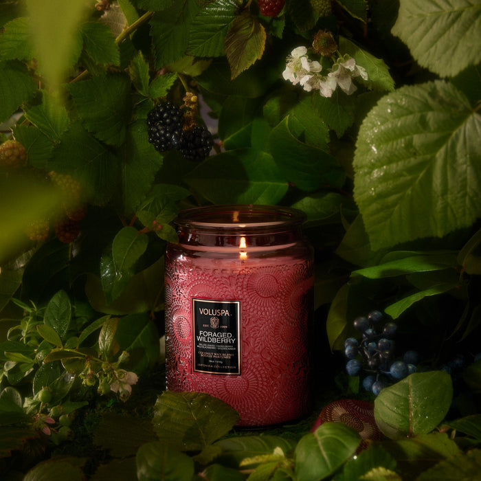 Voluspa | Foraged Wildberry