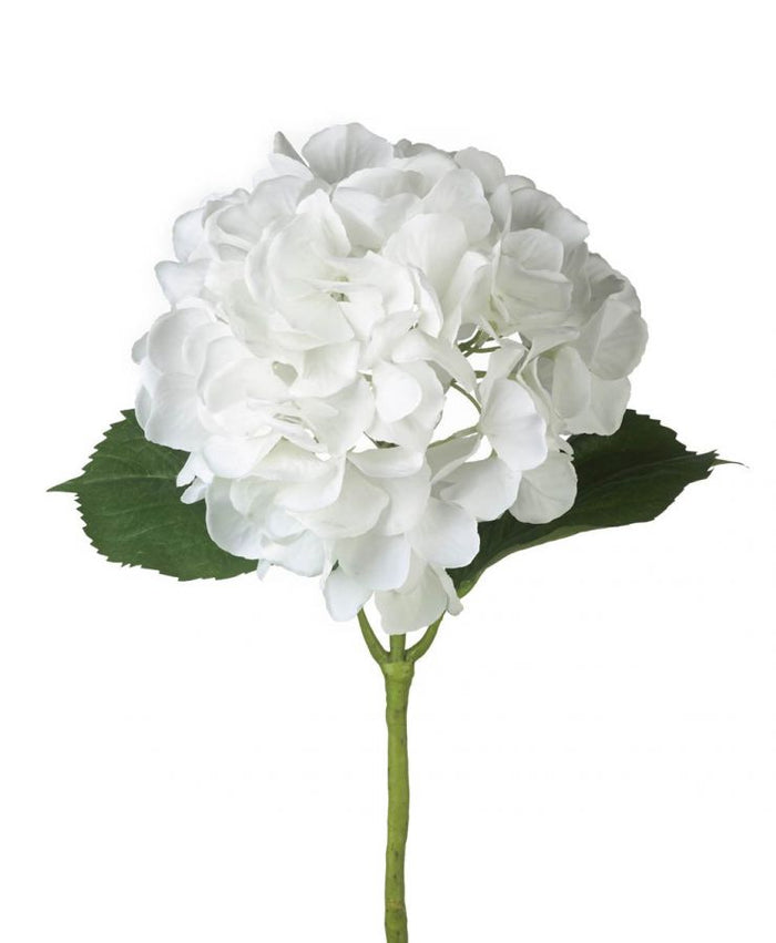 White Hydrandea Stem 20 in