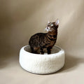Wool Sheep Bouclé Pet Bed with soft, textured fabric and cushioned interior for pets.